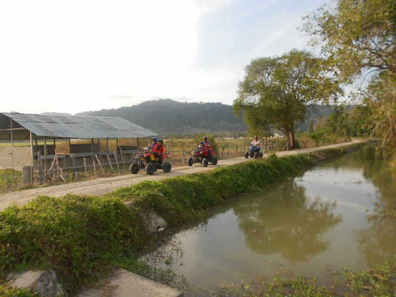 Tourists riding ATV through the countryside at ATV Adventure Ride Langkawi